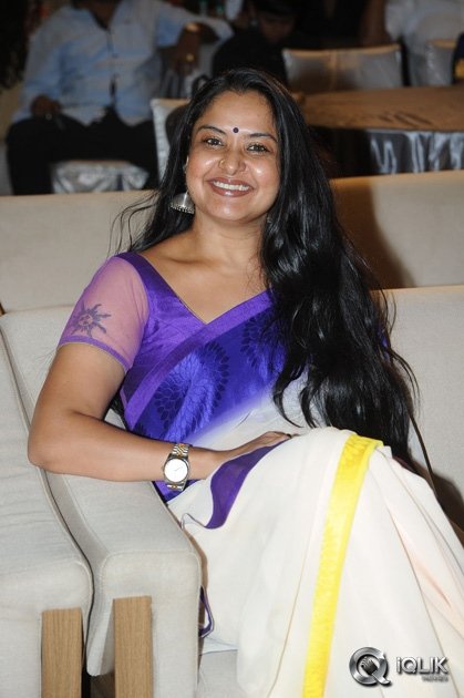 Malupu-Movie-Audio-Launch